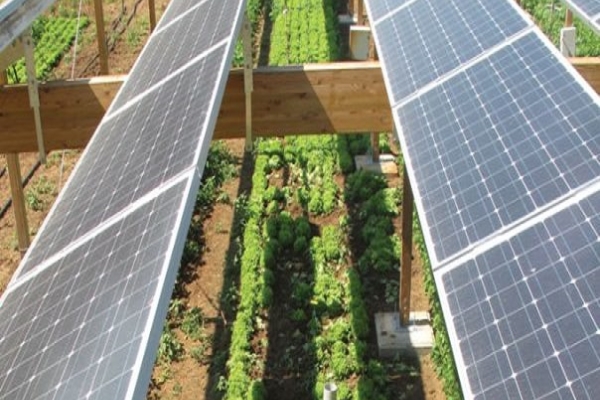 Điện Năng Lượng Mặt Trời Gia Đình - Giải Pháp Tiết Kiệm Chi Phí và Bảo Vệ Môi Trường